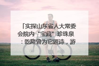 实探山东省人大常委会院内“宝藏”珍珠泉：乾隆曾为它题诗，游客无需预约免费游览